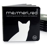 Mesmerised board book by Katey Love