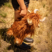 Henry the Highland Cow by Nana Huchy